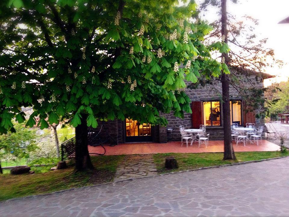 Albergo Ristorante Letizia Chiusi della Verna Dış mekan fotoğraf
