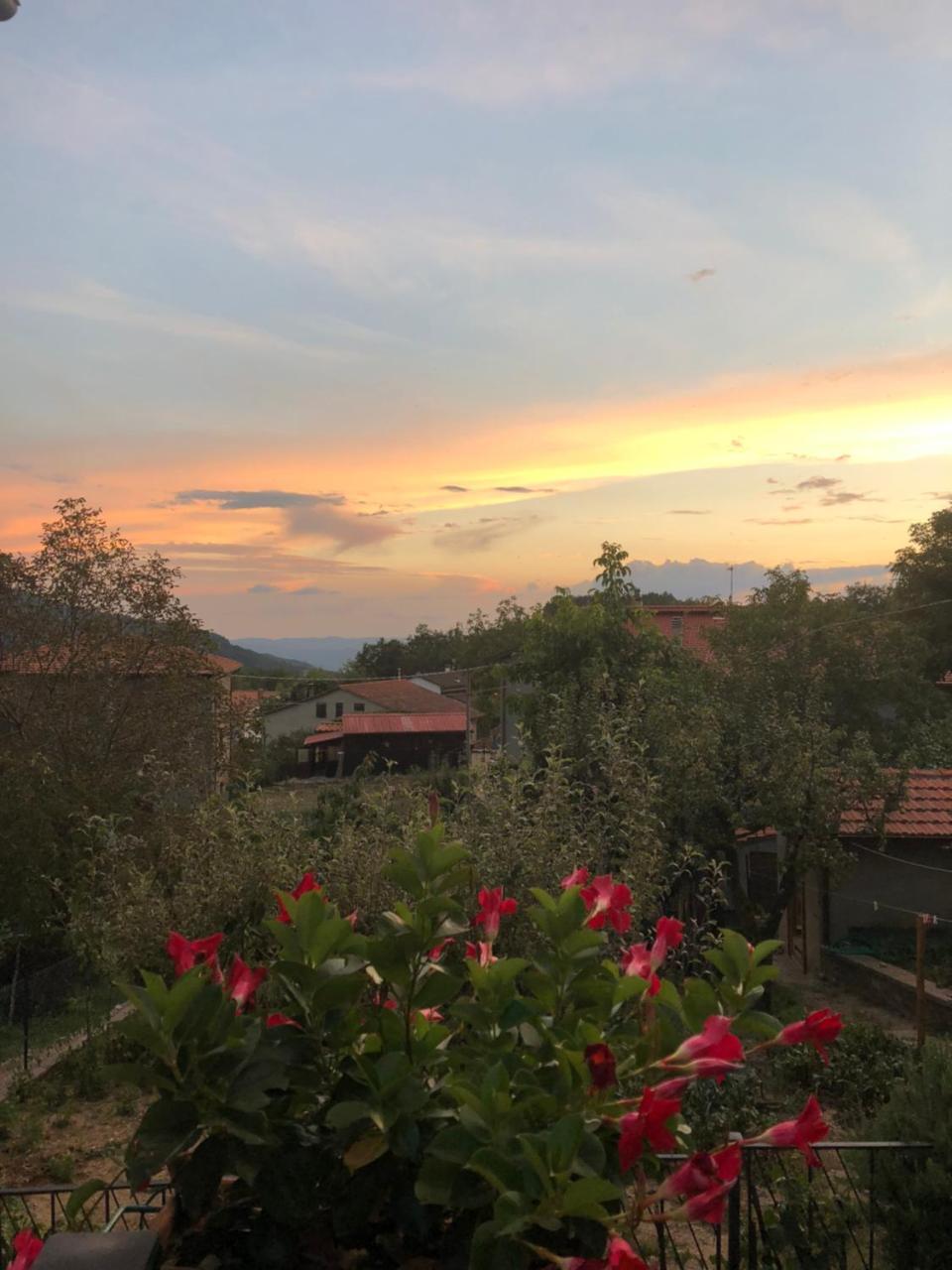 Albergo Ristorante Letizia Chiusi della Verna Dış mekan fotoğraf